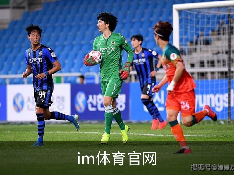 im体育官网概况